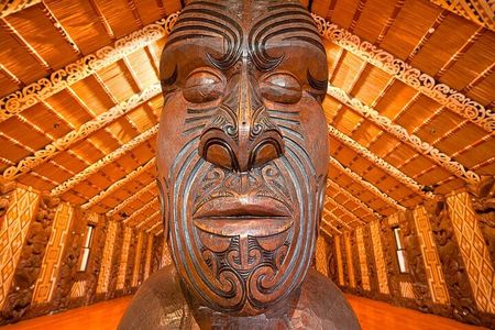Waitangi Treaty Grounds Tour from Auckland