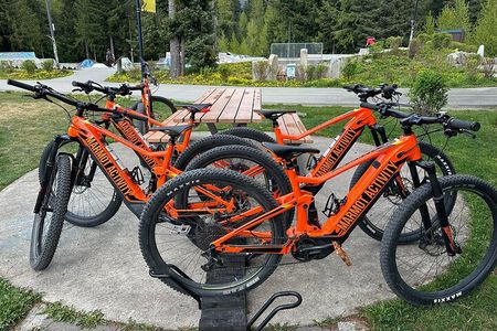 Mountain Breeze Tour - Mountain E Bike - Whistler Marmot Activity
