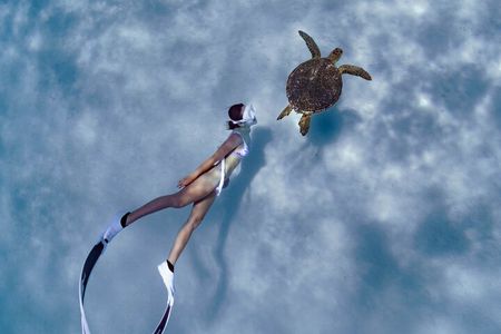 Private snorkeling tour Ishigaki island