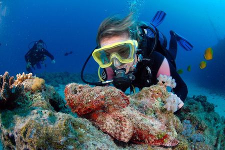  Diving and Sea Diving Baptism 