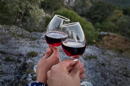 Montjuïc Tour with Wine Tasting 