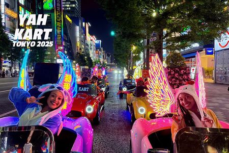 Tokyo：Akihabara Flash Go Kart Street Tour (including guide)