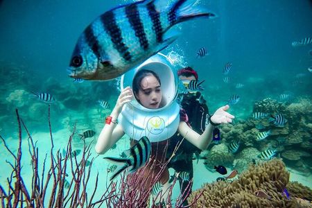 Nha Trang Bay Underwater Walk and Vietnamese Seafood Delight