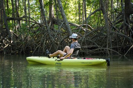 3-Hour Damas Mangrove Kayak Tour