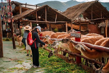 Sacred Valley Pisac, Maras, Moray, Ollantaytambo Small-Group Tour