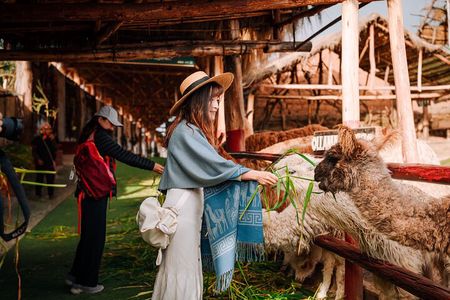 Complete Sacred Valley Tour Small group Pisac, Maras, Moray & Ollantaytambo