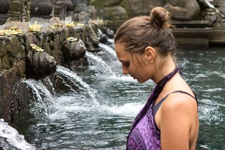 Ubud Highlights Rice Terraces, Temple, Waterfall & Monkeys forest