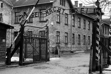 Auschwitz Tour from Krakow via Private Van with Tickets