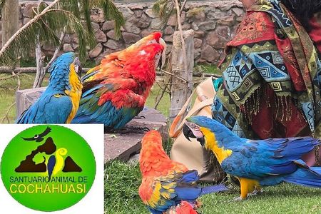 Cochahuasi Sanctuary: Official VIP tour wild Experience