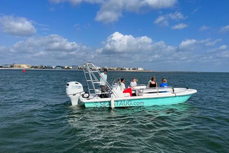 Dolphin and Nature Boat Excursion