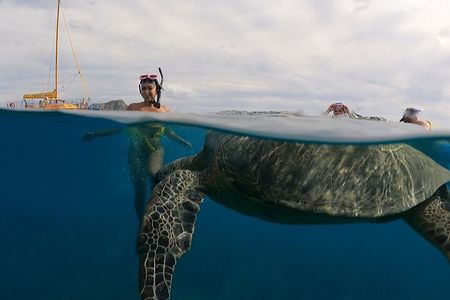 Waikiki Turtle Snorkeling Boat Tour and Adventure