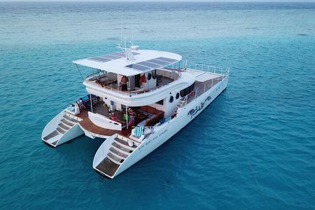 Private Catamaran - Stone Town Islands & Sandbanks (5 hrs)