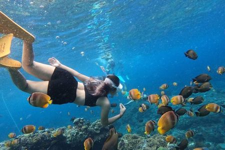  Bali Blue Lagoon Snorkeling with All - Inclusive Tour
