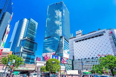 Perfect for First-Time Visitors Private Tokyo Highlights Tour