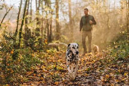 Truffle hunting for Nature Enthusiasts