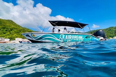 Dolphin's Watching Martinique