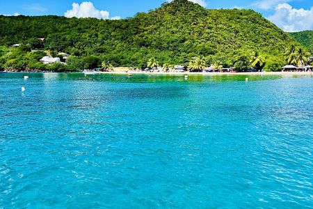 Martinique : Anse Coralienne & Tortues