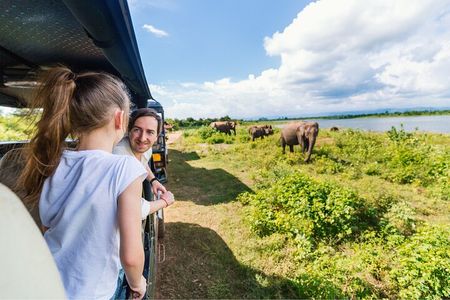 Udawalawe Elephant Safari: 3h Jeep Adventure (All Inclusive)