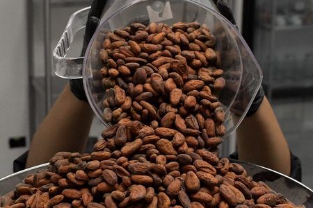 Fine Chocolate Tour in Costa Rica