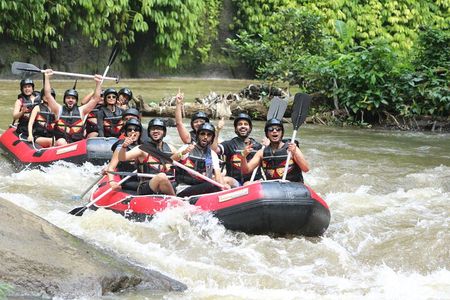 Bali White Water Rafting