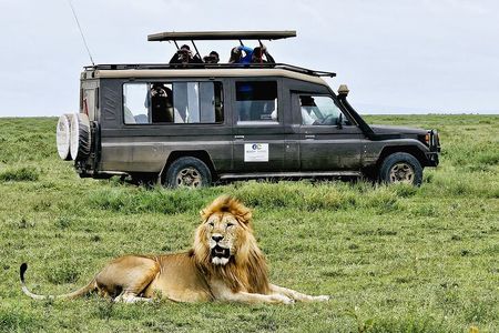 From Arusha: 3-Day Tarangire, Ngorongoro & Manyara Safari