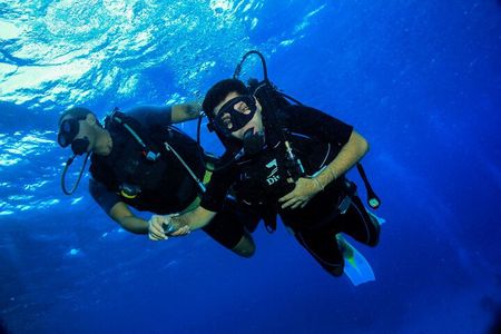Marsa Mubarak Snorkeling Trip,2 intro dive & Transfer :Marsa Alam