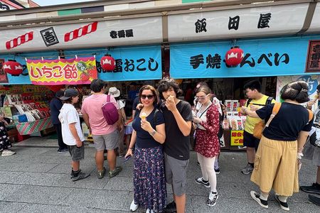 Tokyo Private Half-Day Tour by Car with Local Guide