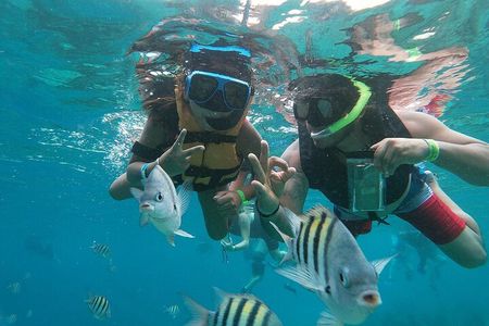 The Perfect Day in Chankanaab Park Cozumel 