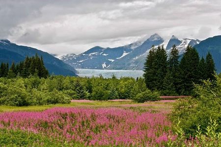Juneau Private 3 Hour Sightseeing Tour with a Local 