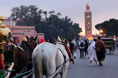Marrakesh: One-hour trip to traditional horse-drawn carriage