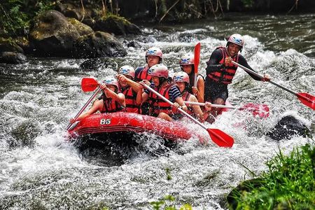White Water Rafting Ubud Ayung River with Lunch - Best value!