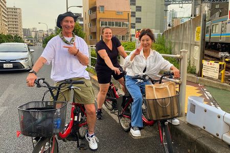 Tokyo Night E-Bike Tour with Tokyo Tower and Dolphin Show