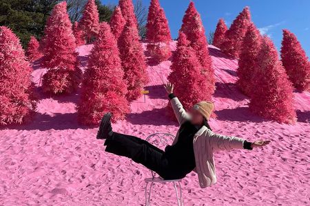 Pocheon Highlights 1 Day Tour