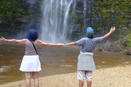 Wli Waterfall and Tafi Atome Monkey Sanctuary Tour