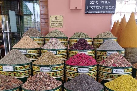 Private Marrakech City Tour: Bahia Palace, Medina & Souks