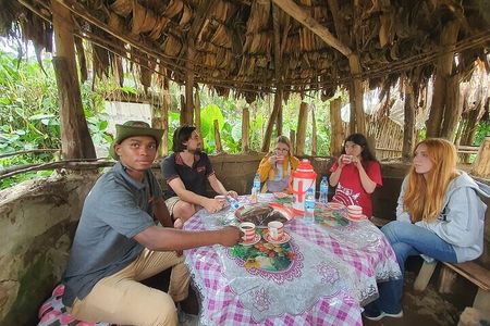 Materuni waterfalls and Coffee experience Day Trip.