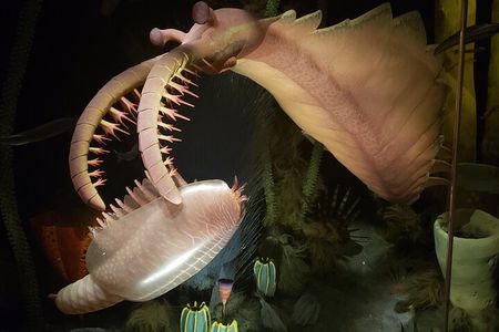 1 Day of Drumheller Dinosaurs and Badlands in Small Group Tour