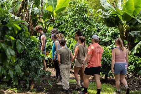 Monteverde Cloud Forest Organic Coffee Farm Cultural Experience