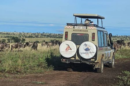 4 Day Affordable Northern Tanzania Camping Safari