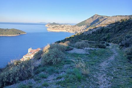 Dawn Nature Walks with a Historical Twist