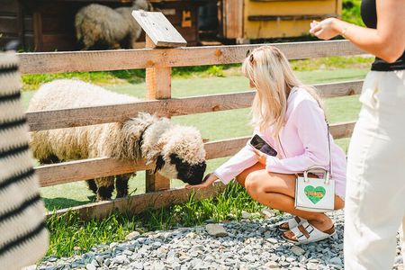 Krakow: Zakopane Tour - Gubalowka and Thermal Pools Options