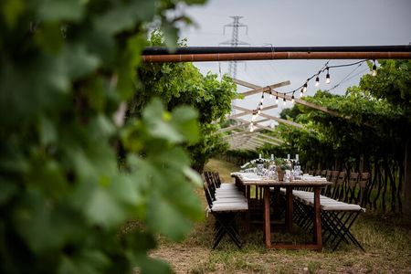 Benazzoli Wine Experience