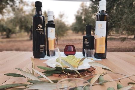 Mercedes Private Tour Olive Tasting & Wine Tasting..in the fields