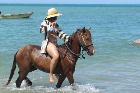 Beach Horseback Ride Tour in Puerto Plata - Scenic & Fun for All