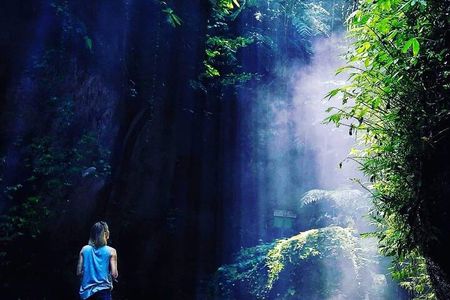 Explore Ubud Art Market, Monkey Forest and Rice Terraces