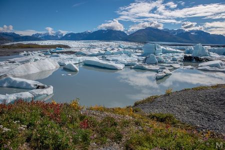 Scenic Helicopter Flight-60 Minutes-Anchorage Area