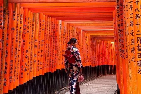 Kyoto & Nara Private Customizable Day Tour with Guide & Van