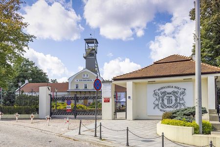 Wieliczka Salt Mine tour from Krakow by private minivan