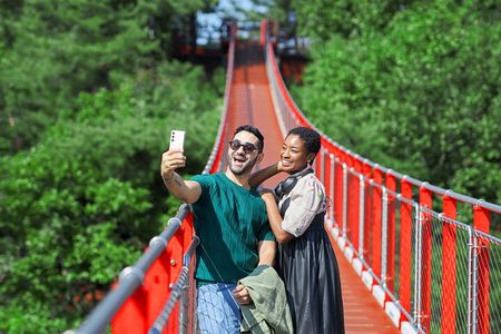 Best DMZ Tour Korea from Seoul (Red Suspension Bridge Optional)