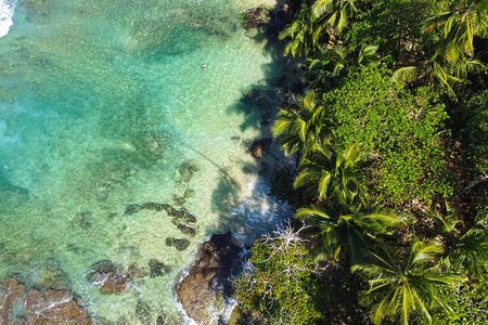 Private Caribbean Tour: Puerto Viejo & Manzanillo from San José